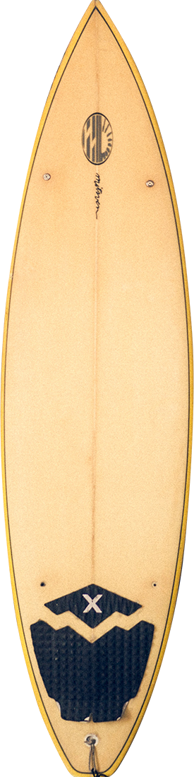 home rentals surfboard -
